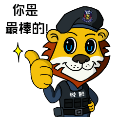 銳警少(shǎo)年(nián)警訓:防患未然 安全呵護——幼師(shī)二幼安全教育活動